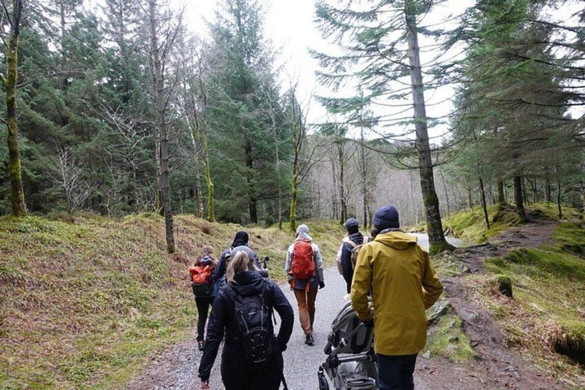 Small Group Hiking Tour on Mt. Fløyen With Funicular Ride 4