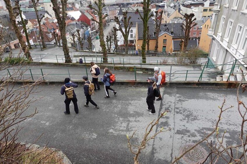 Small Group Hiking Tour on Mt. Fløyen With Funicular Ride 5
