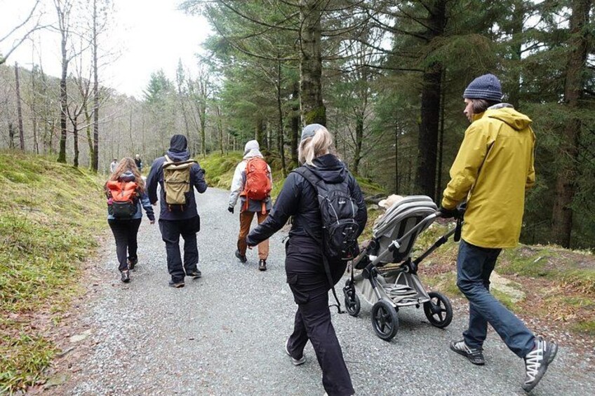 Small Group Hiking Tour on Mt. Fløyen With Funicular Ride 2