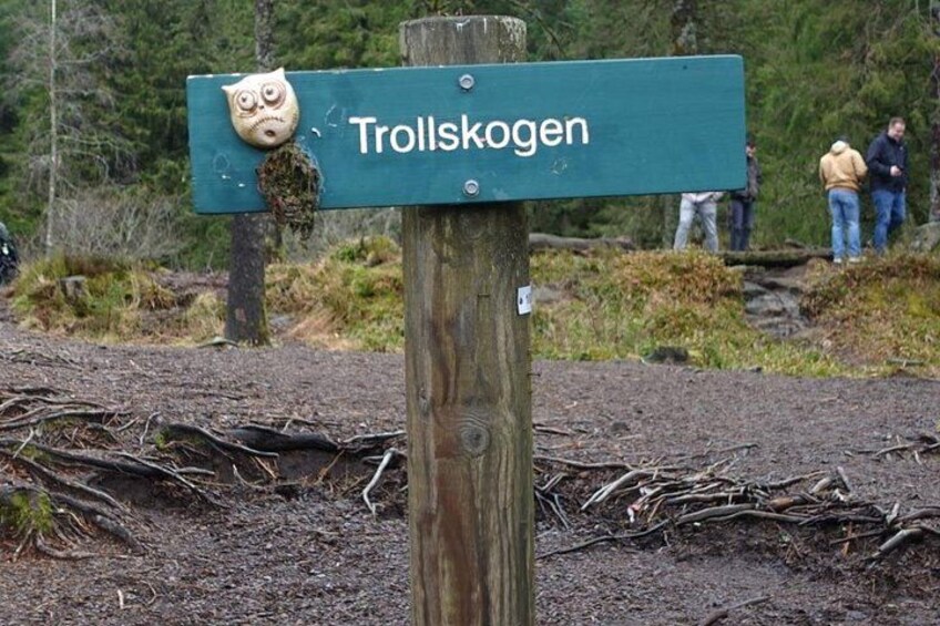 Small Group Hiking Tour on Mt. Fløyen With Funicular Ride 3