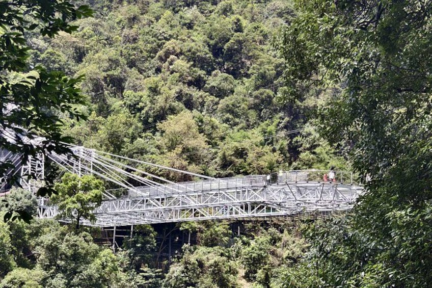 A metal bridge structure amidst dense forest. 2
