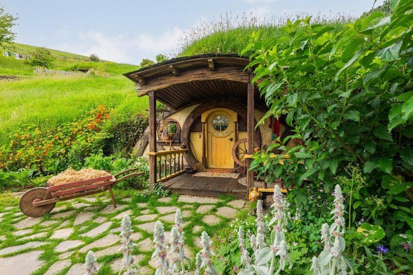 Auckland to Rotorua via Hobbiton & Waitomo 1-Way Small Group Tour 2
