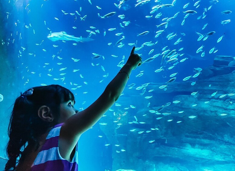 A person pointing at a school of fish in an aquarium. 5