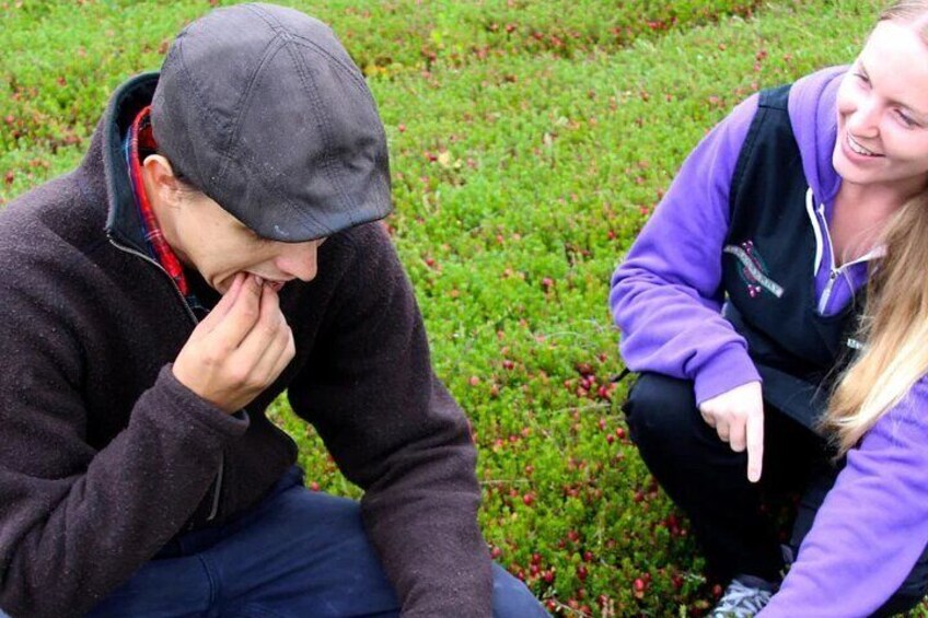 Two people sitting on grass with bushes around them. 3