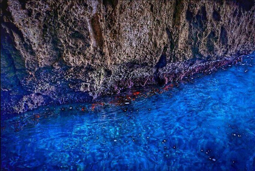 Une côte rocheuse bordée d’une eau d’un bleu limpide. 2