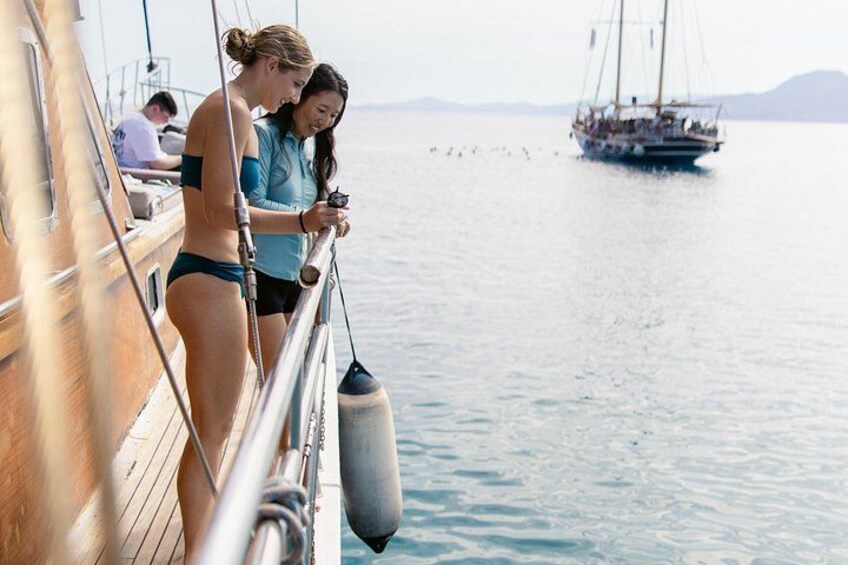 Athens cruise: Agistri, Moni, Aegina with lunch & drinks included 5
