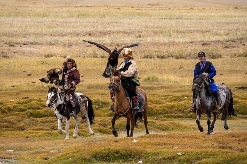 Three people riding horses in a grassy field. 5
