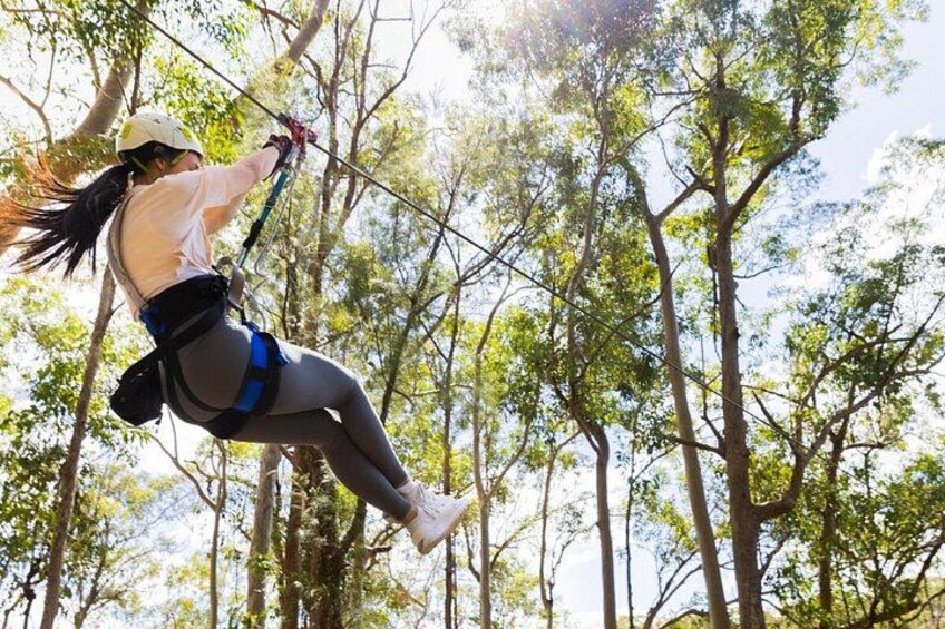 High Ropes and Zipline Adventure - Adrenaline Pass 1