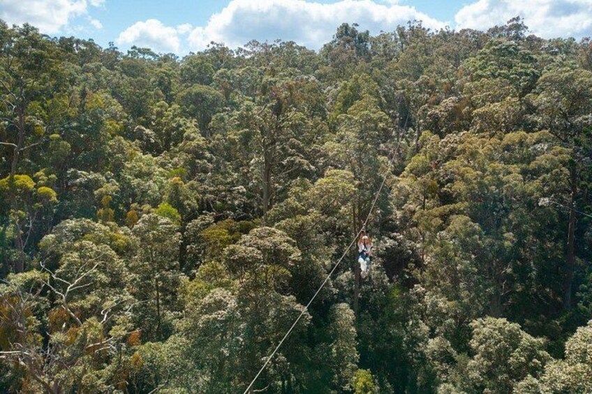 High Ropes and Zipline Adventure - Adrenaline Pass 2