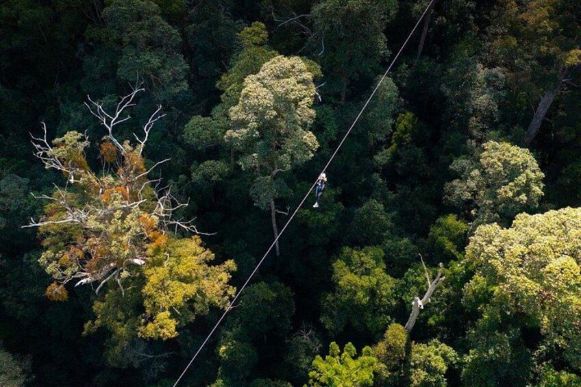 High Ropes and Zipline Adventure - Adrenaline Pass 4