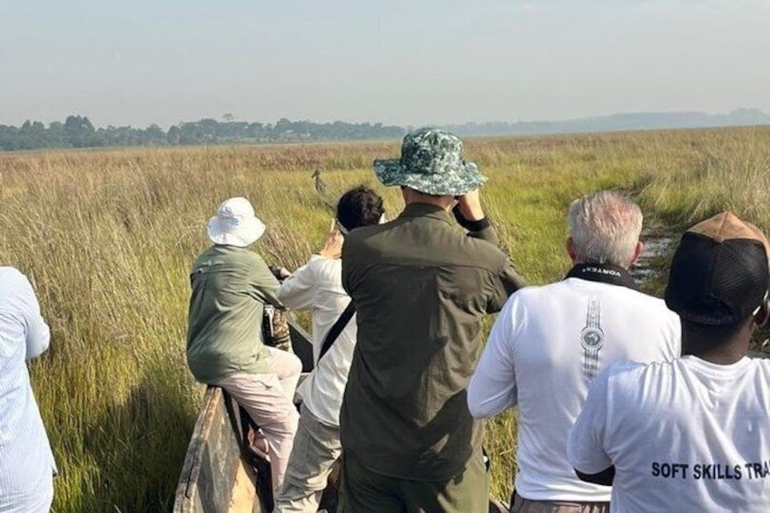 A group of people observing wildlife in a grassy field. 2