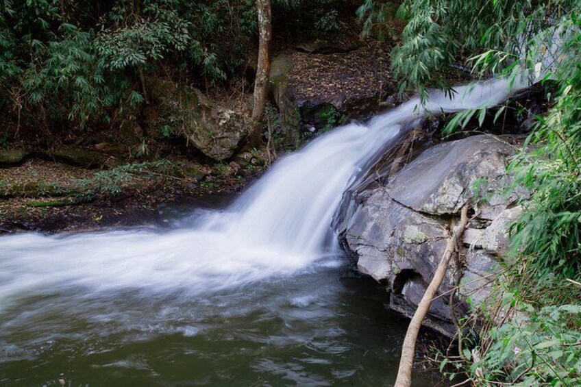 Full Day Doi Inthanon and Pha Dok Siew Trek from Chiang Mai 5