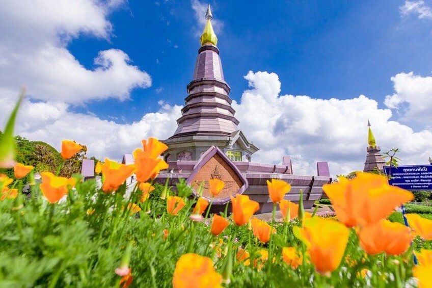 Full Day Doi Inthanon and Pha Dok Siew Trek from Chiang Mai 1