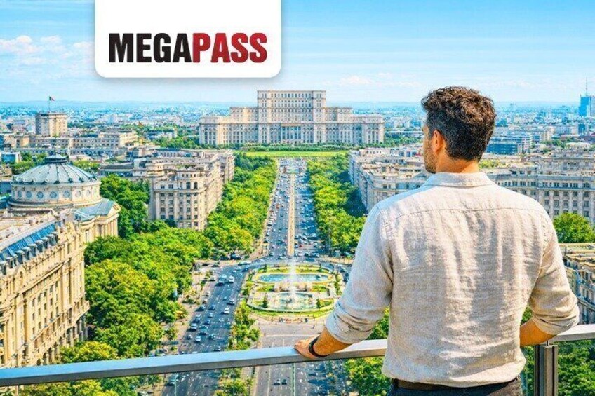 A person overlooking a cityscape with a prominent building in the distance. 1