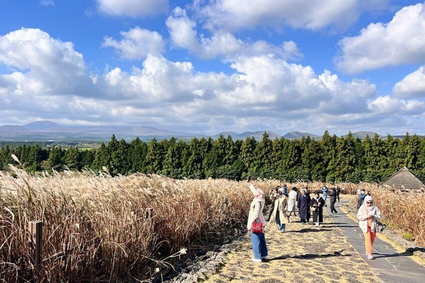 A group of people walking on a path surrounded by tall grass and trees under a partly cloudy sky. 2