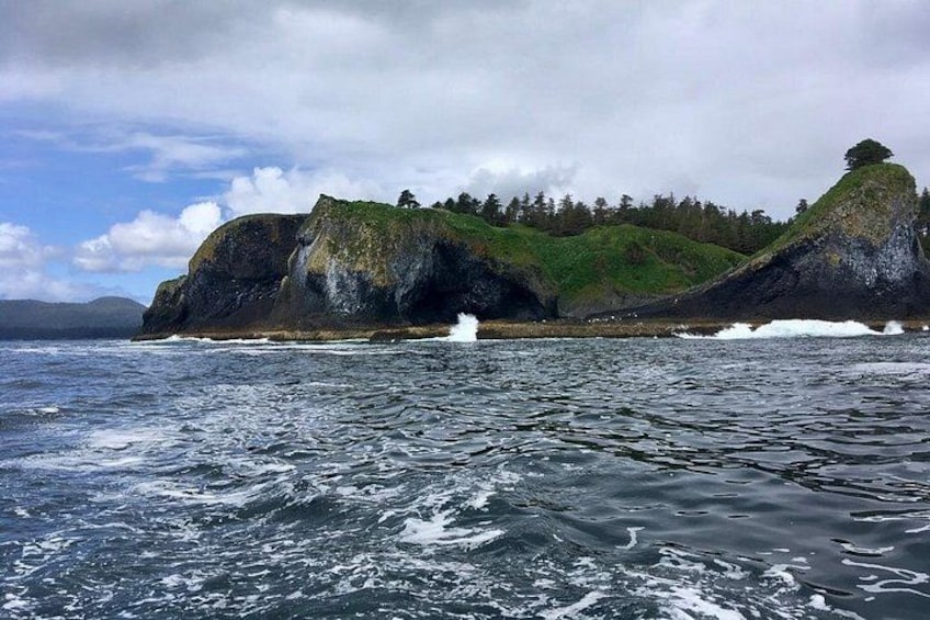 Sitka Scenic Marine Life & Seabird Private Charter Eco-Tour 1