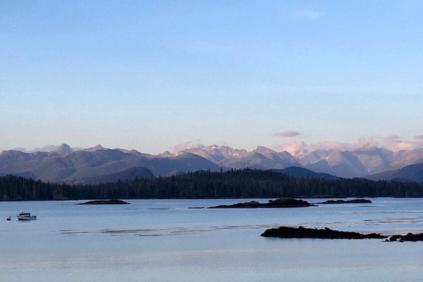 Sitka Marine Life & Seabird Eco-Tour Private Scenic Excursion 2