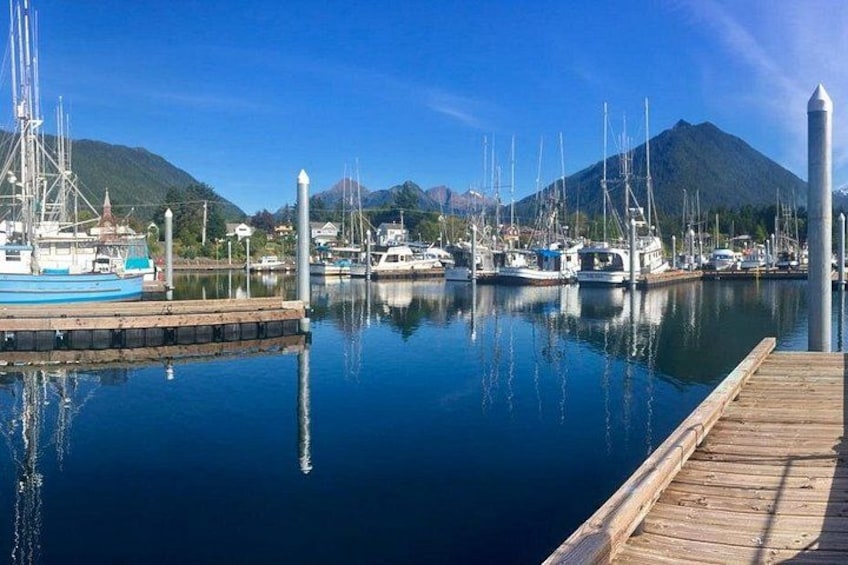 Sitka Marine Life & Seabird Eco-Tour Private Scenic Excursion 4