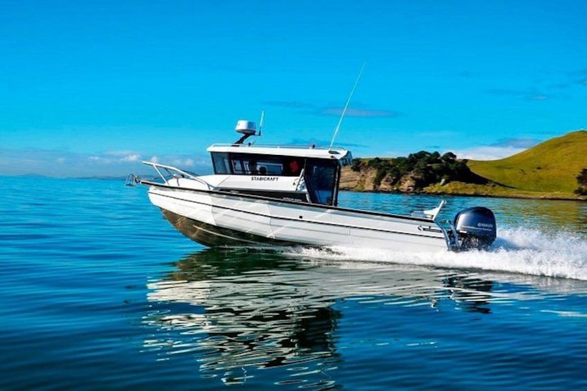 Sitka Marine Life & Seabird Eco-Tour Private Scenic Excursion 5