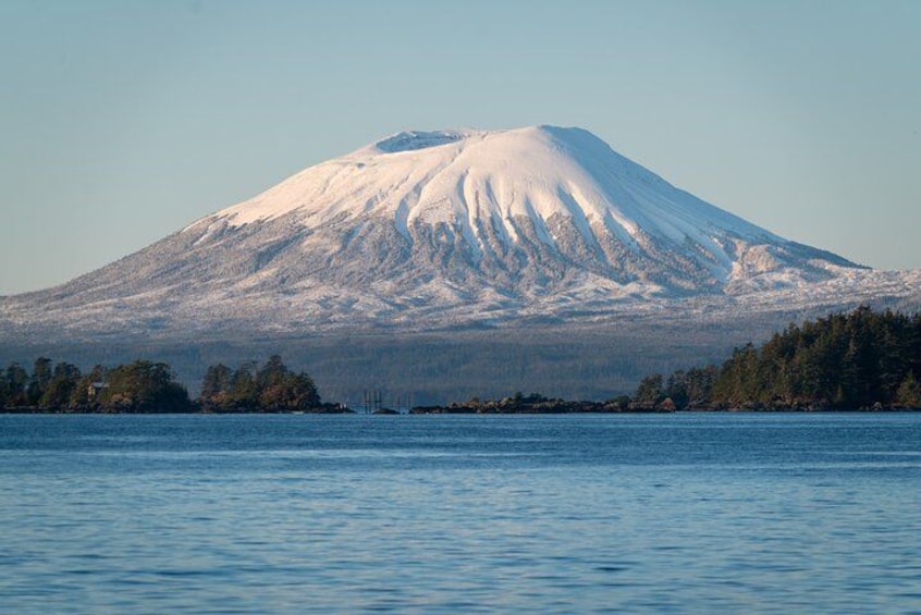 Sitka Marine Life & Seabird Eco-Tour Private Scenic Excursion 2