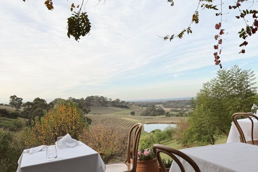 Luxury Hunter Valley Wine Tour with Fine Dining | From Sydney CBD 3