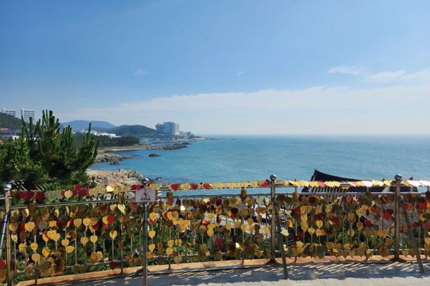 Busan's Top Attractions on a Private tour with a Licensed Guide 4
