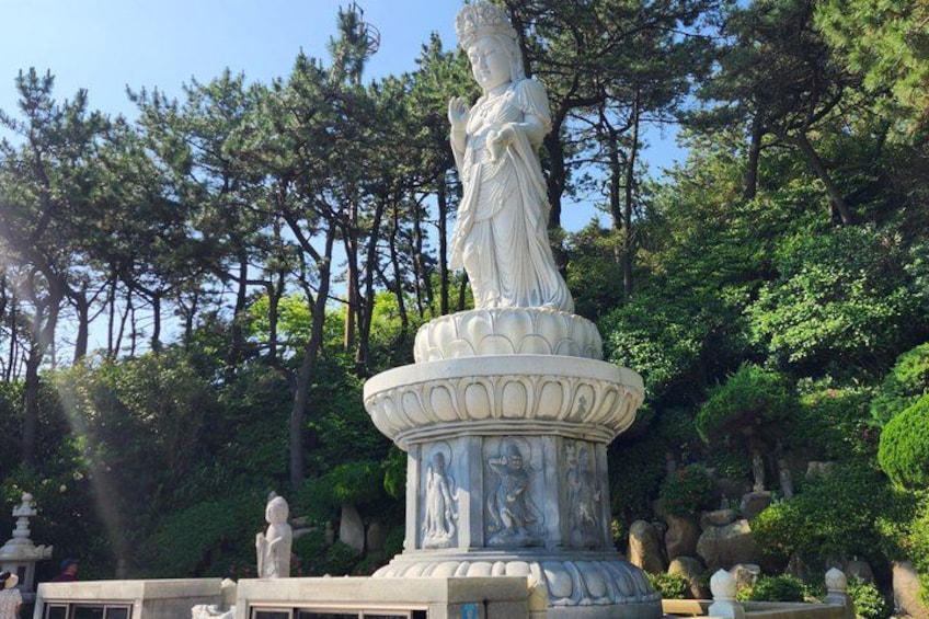 Busan's Top Attractions on a Private tour with a Licensed Guide 5