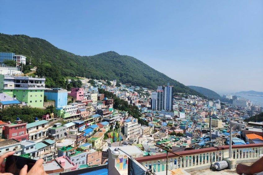 Busan's Top Attractions on a Private tour with a Licensed Guide 2