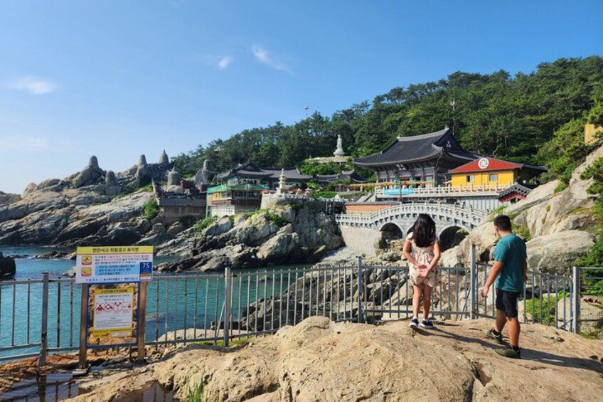 Busan's Top Attractions on a Private tour with a Licensed Guide 3