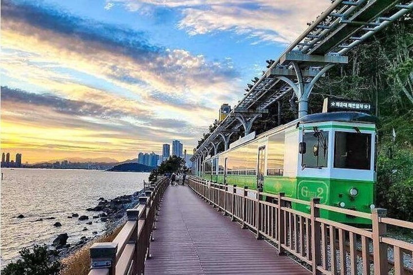 A green and white train on a bridge with a city skyline in the background. 5