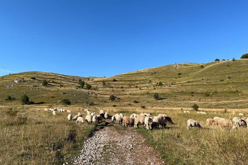 Hiking Sarajevo Lukomir Village Full Day Hiking Tour 5