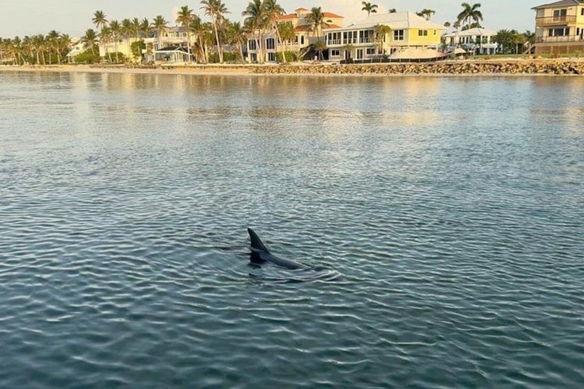 Fort Myers Beach 90 Minute Round Tiki Boat Cruise 3