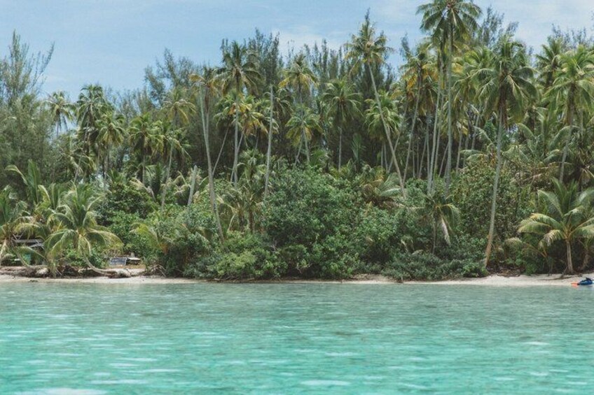 A tropical beach with clear turquoise water, dense palm trees, and a sandy shore. 3