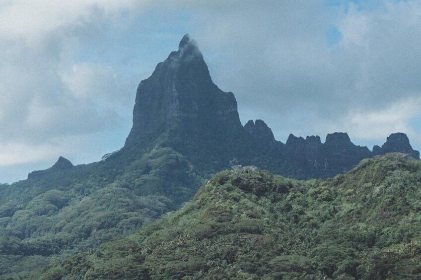 A mountain peak surrounded by dense green forest. 1