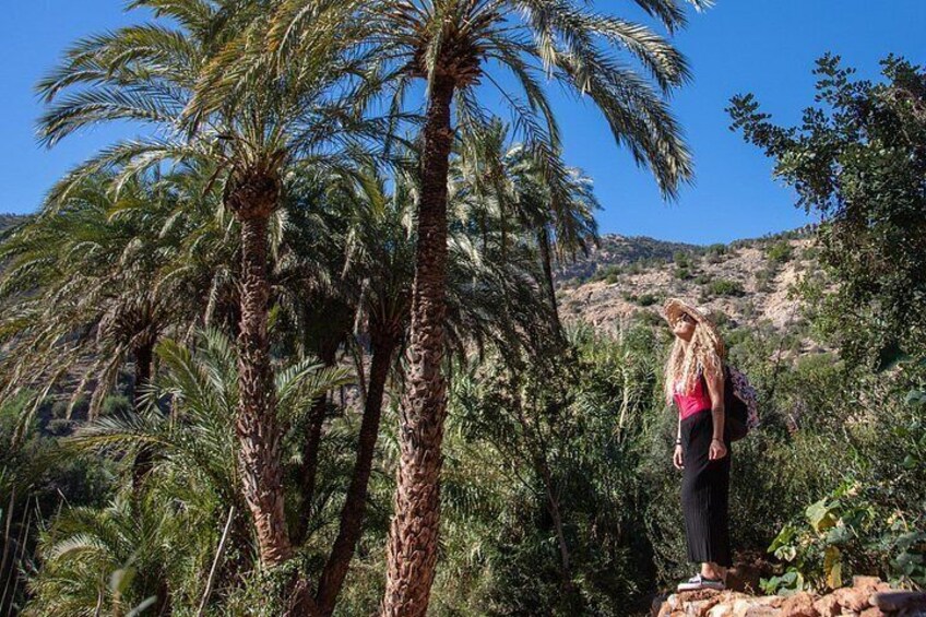 Paradise Valley trip 3