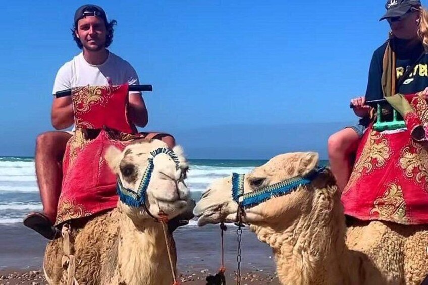 Camel riding 2