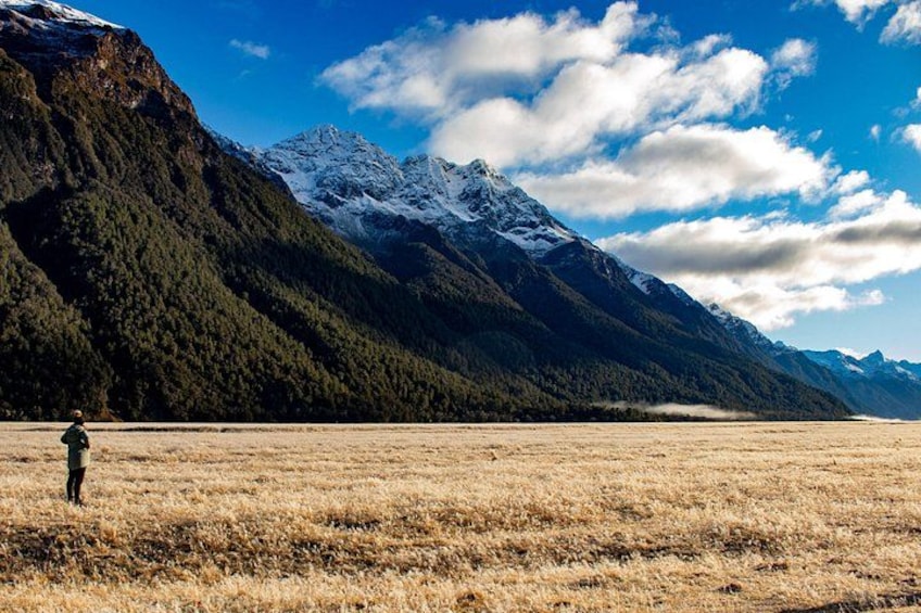 Queenstown to Te Anau via Milford Sound inc Cruise & Lunch 4