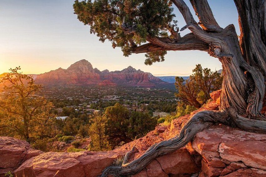 Verde Valley Wineries & Sedona Red Rocks: Private Day Tour 2