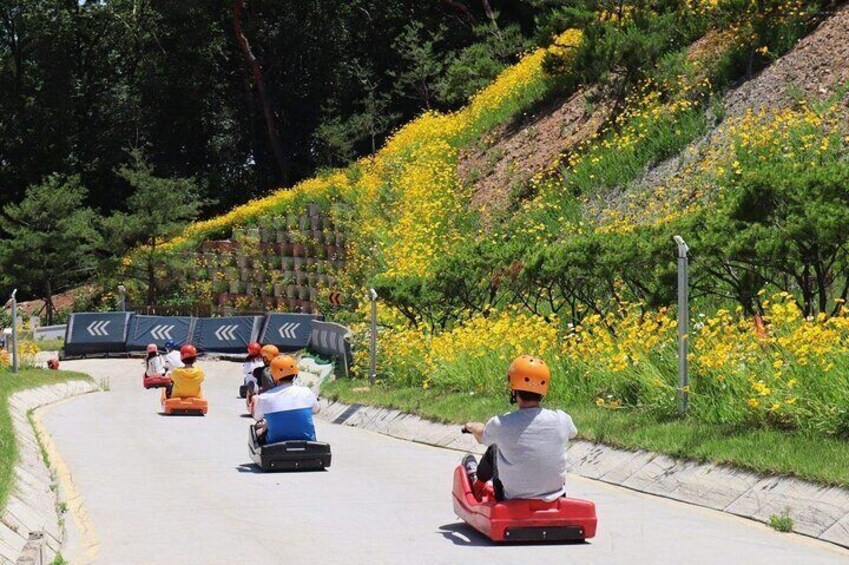 Mensen rijden in gocarts op een kronkelende weg met gele bloemen aan de zijkant. 1