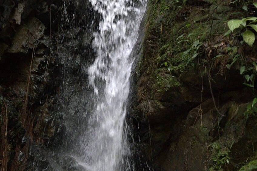 Medellin on Wheels Incredible Landscapes Tour 2
