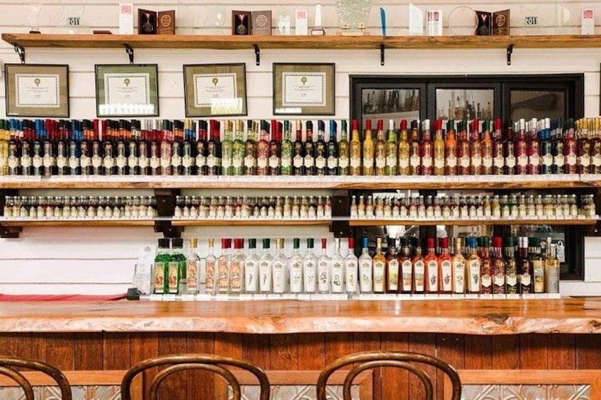 A rainbow of flavours behind the bar. 5