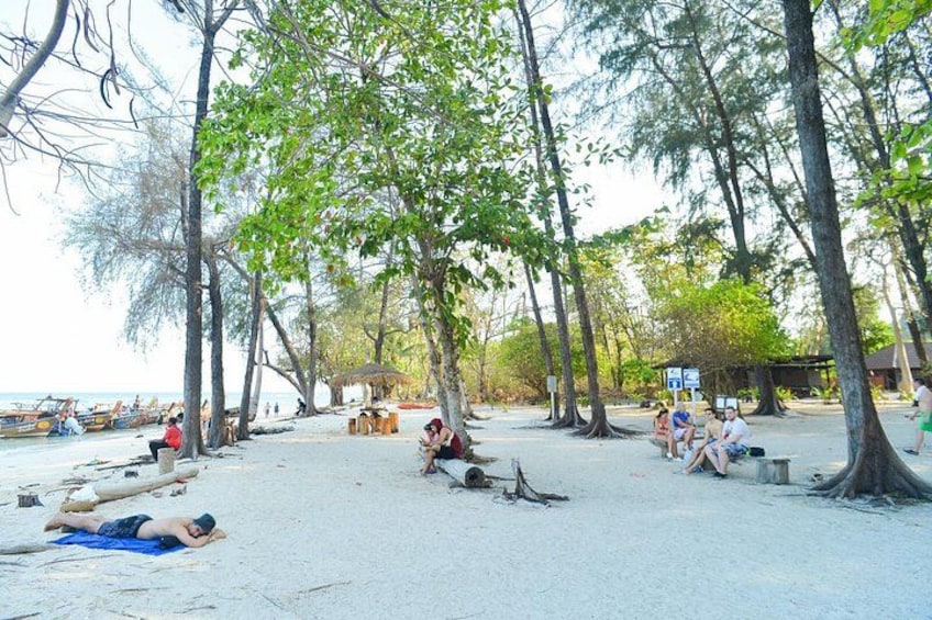 Una playa con gente relajándose bajo árboles, orilla arenosa y barcos en el agua. 2