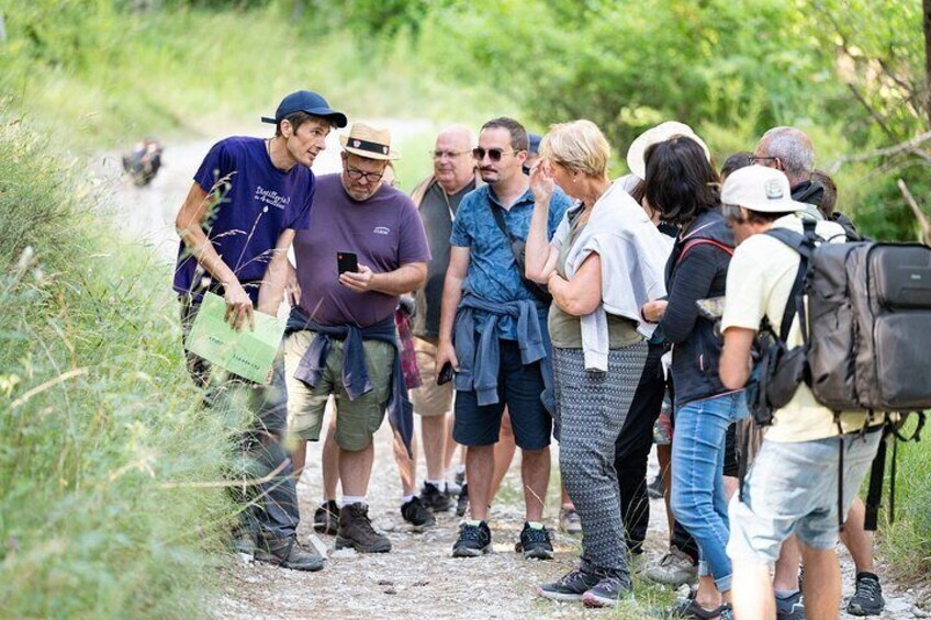 Eine Gruppe von Menschen geht auf einem Feldweg, der von viel Grün umgeben ist. 4