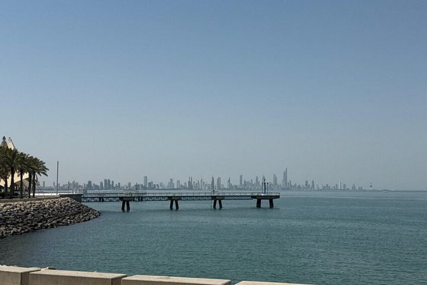 A waterfront with a bridge, palm trees, and a city skyline in the background. 5