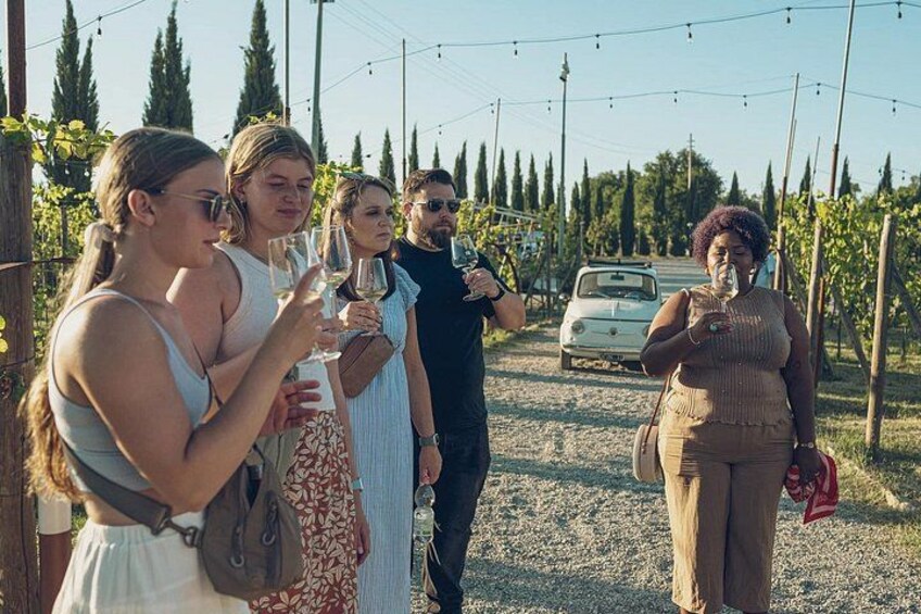 Un groupe de personnes se tient dans un vignoble, avec des rangées de vignes et une voiture ancienne en arrière-plan. 5