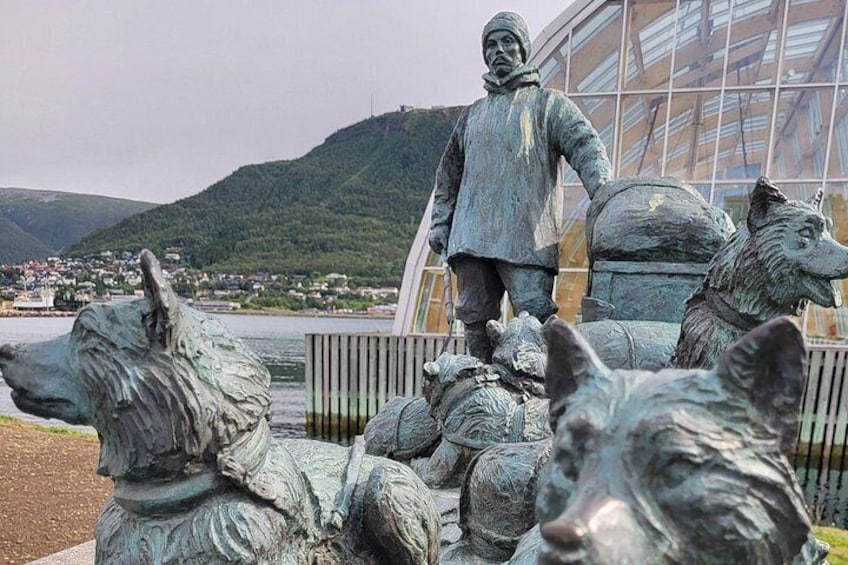 Guided Polar Bear Walk incl. Polaria & Polar Museum 2