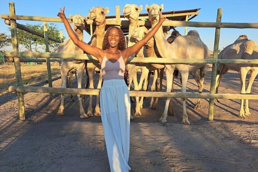 Una persona de pie frente a un recinto de camellos. 1