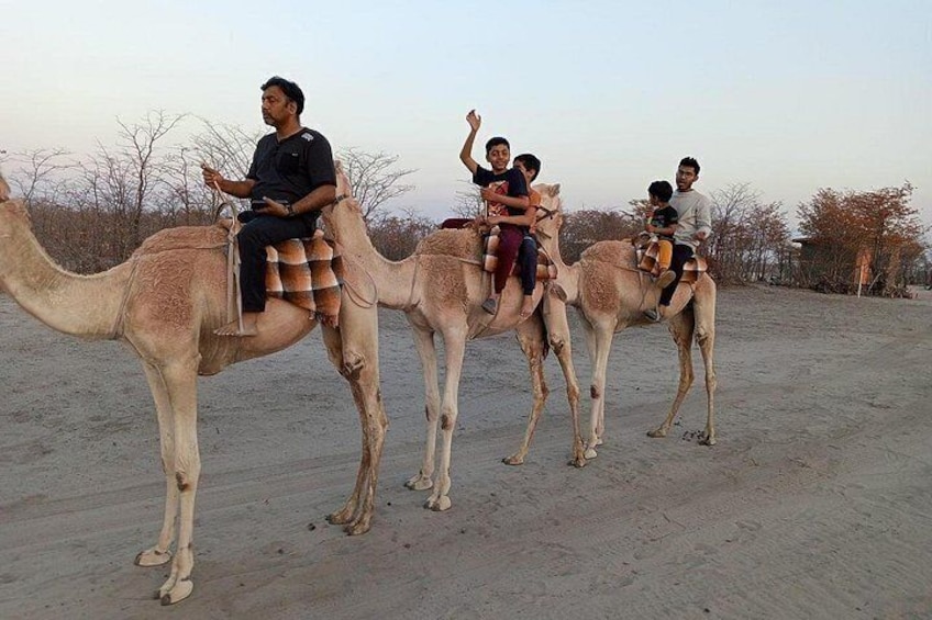 Un grupo de personas montando camellos sobre un terreno arenoso con poca vegetación al fondo. 3