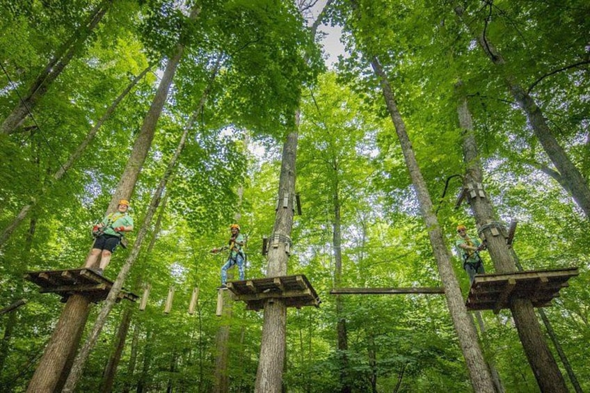 TimberTrek Treetop Challenge Adventure 1