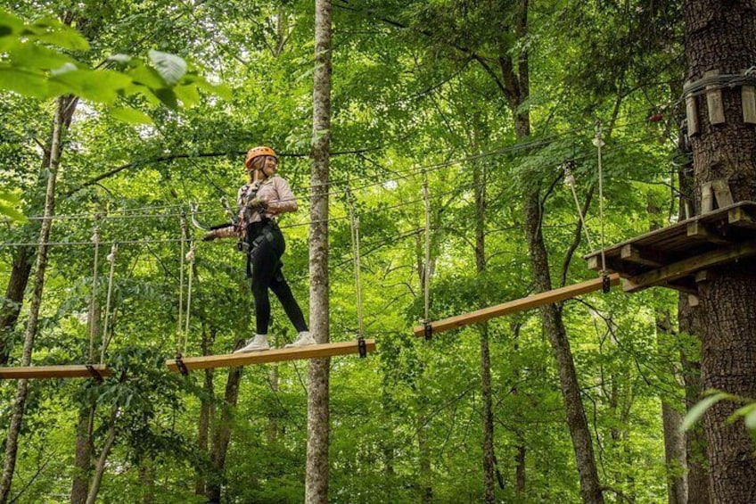 TimberTrek Treetop Challenge Adventure 2